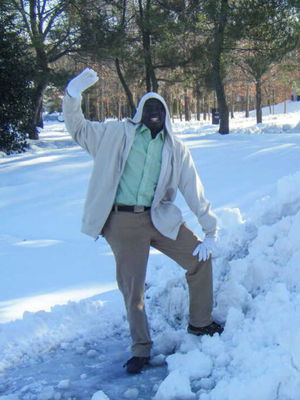 Snowfall in African Countries