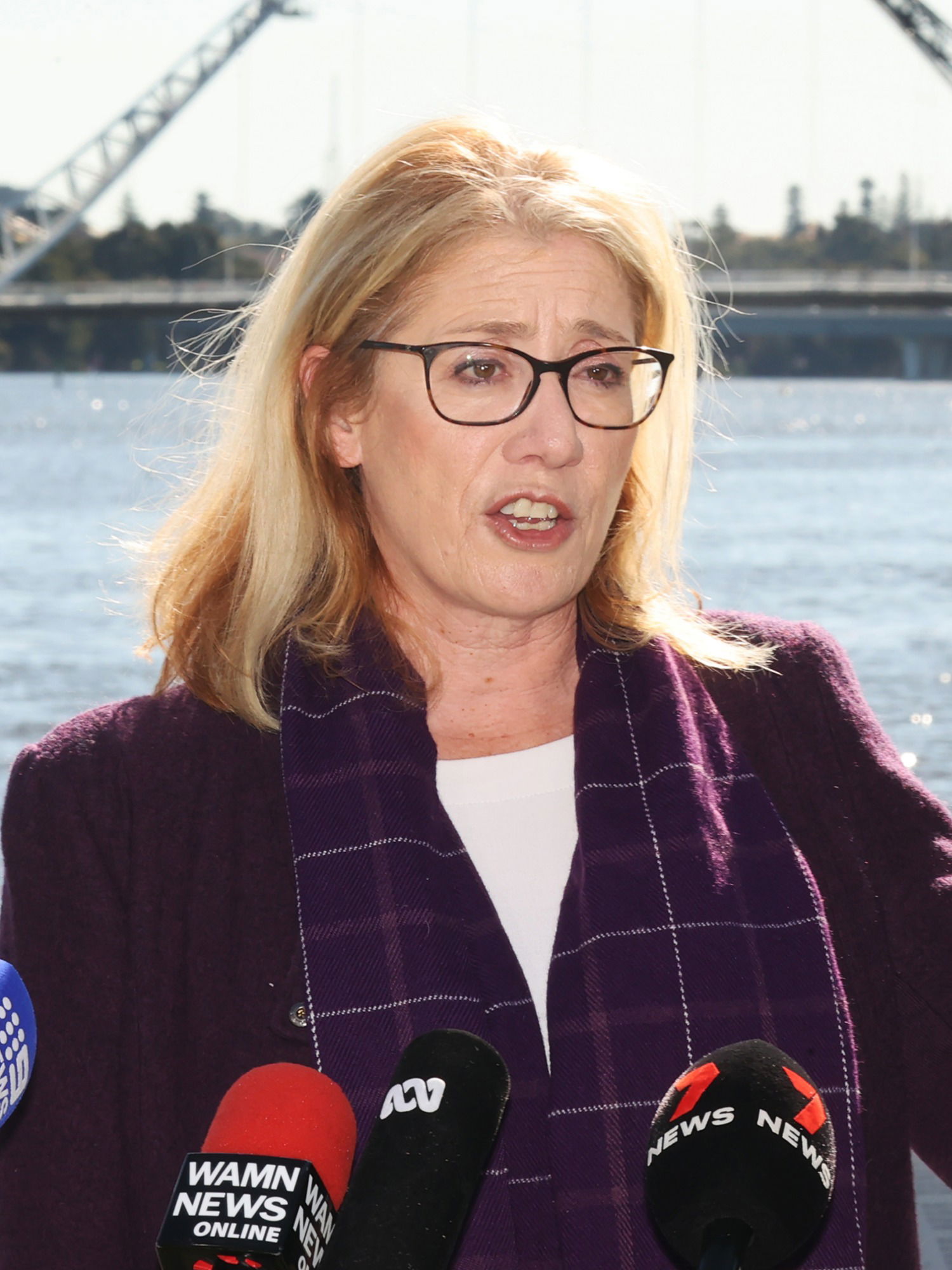 ‘Concerns’ as location of new ferry terminal announced