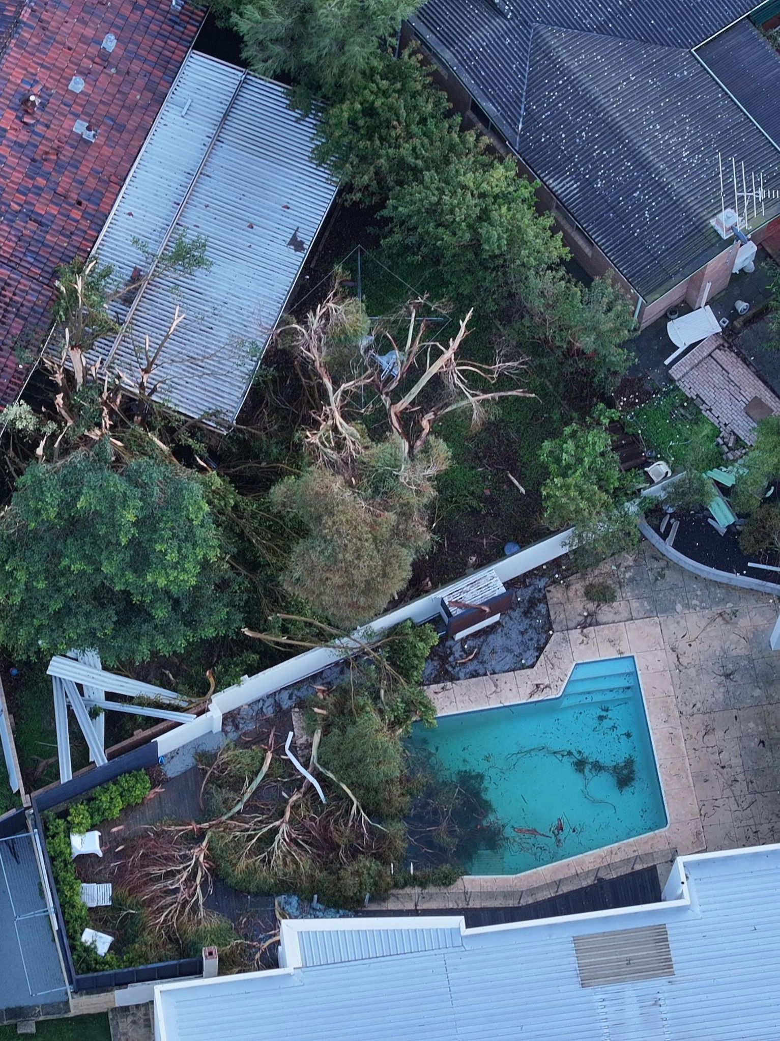 Five minutes of chaos cost Perth suburb millions in damage