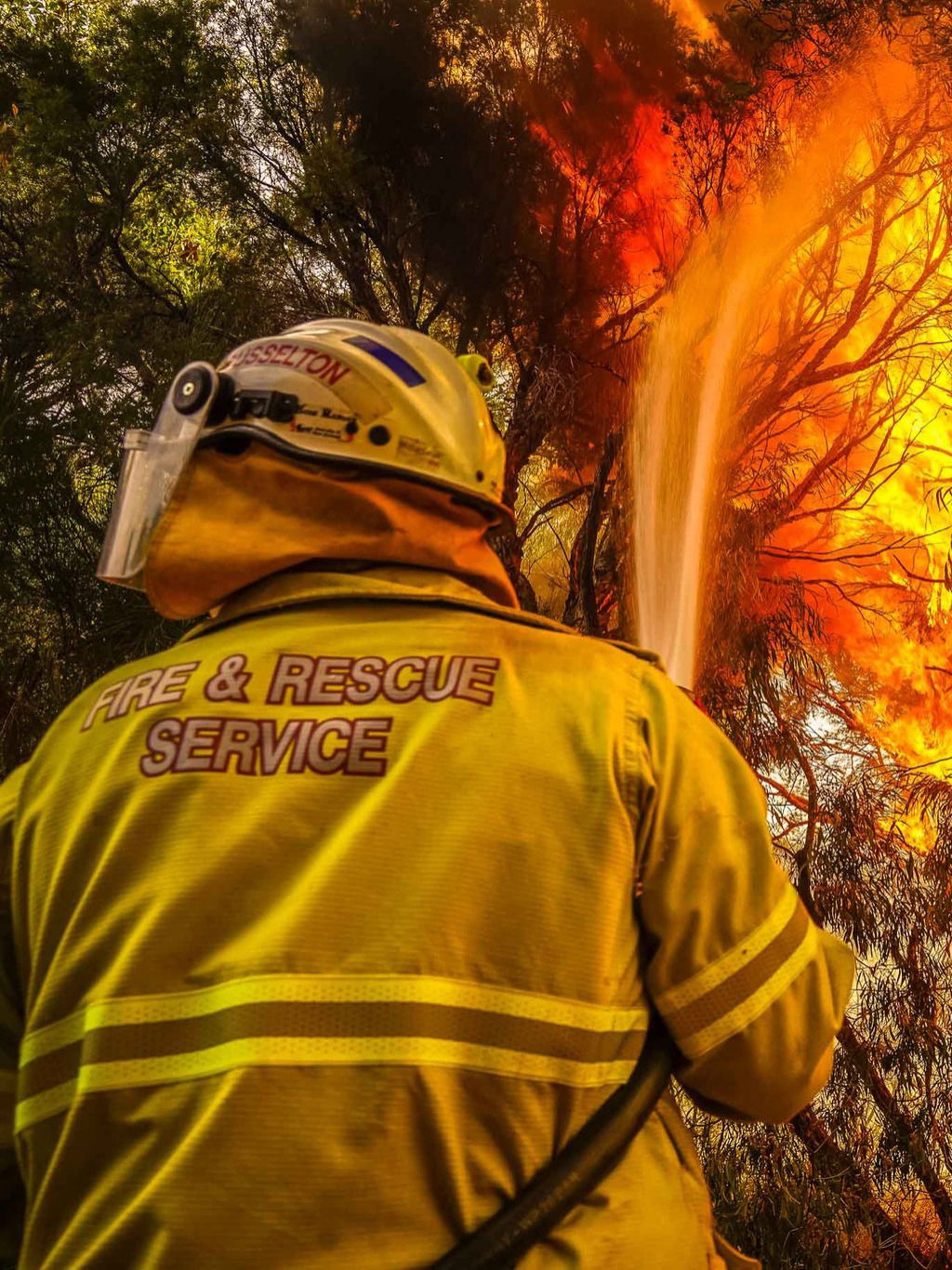 How AI is being tested to spot bushfires before they spread